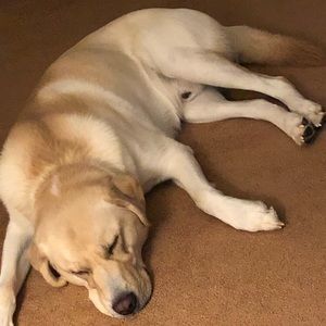 Meet your Posher, Brett